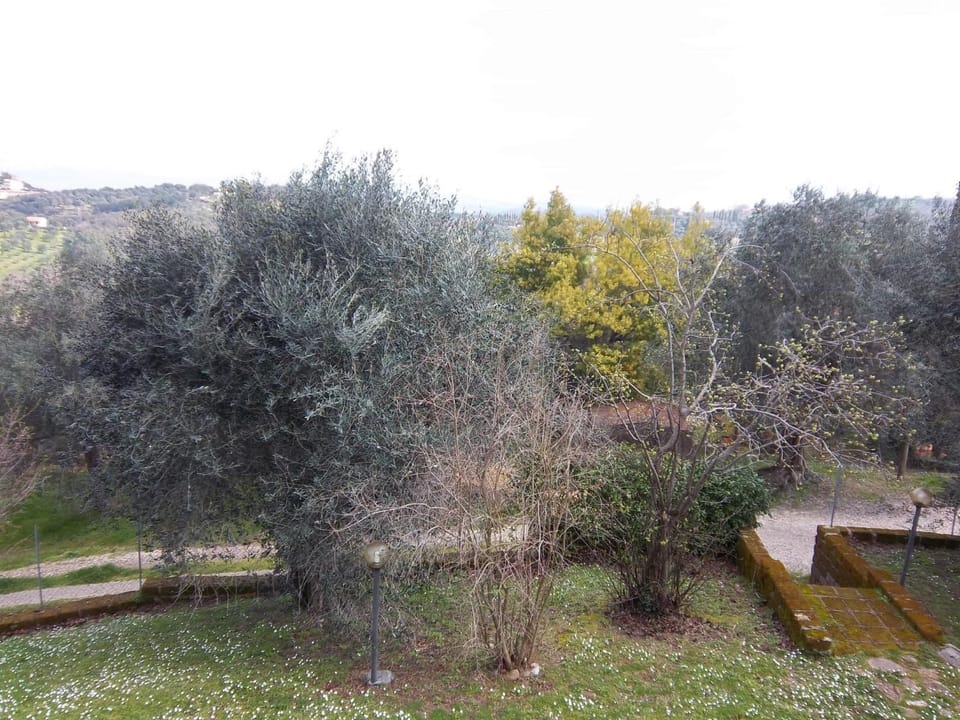 Day, Garden view