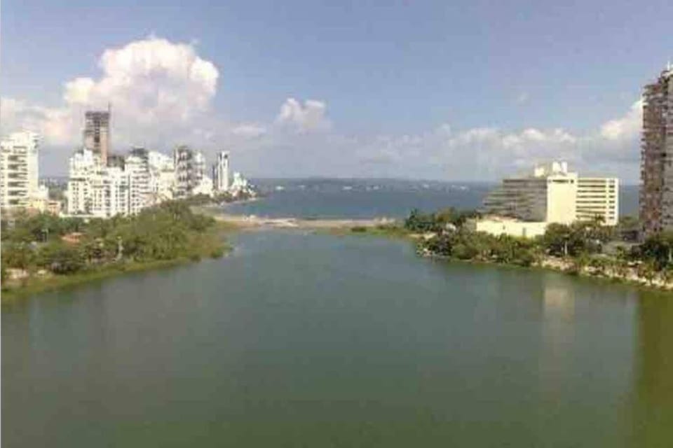 Lake view
