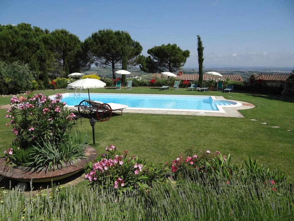 Day, Swimming pool, Swimming pool