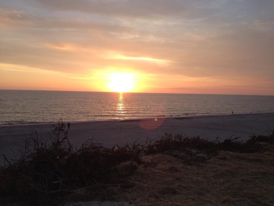 Decorative detail, Beach, Sunset