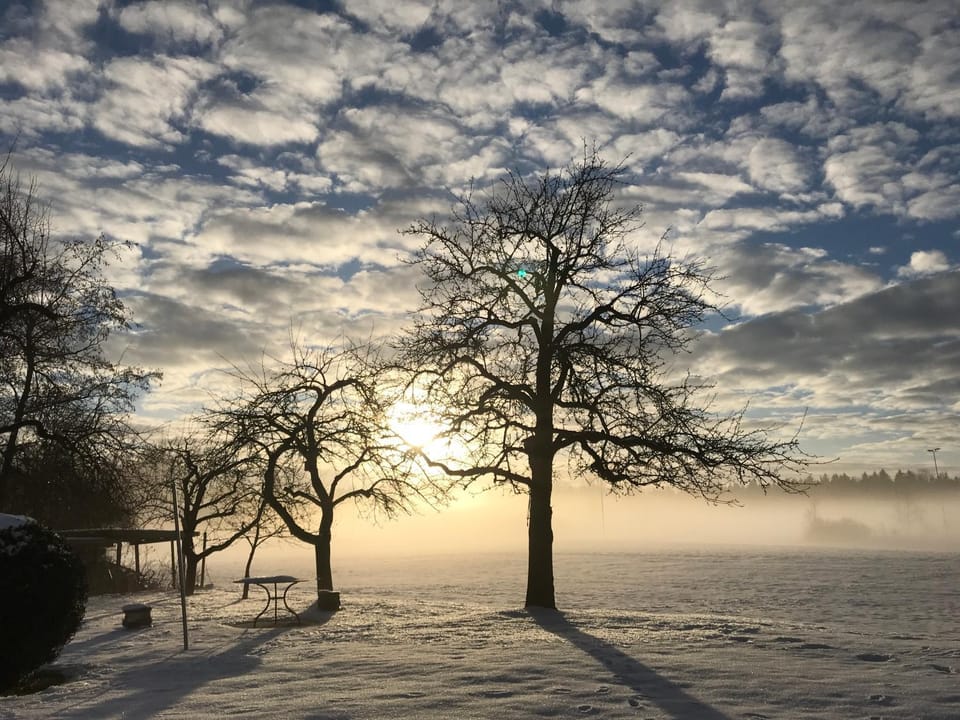 Pure Nature Munich - Amper Meadows/Freising House in Bavaria