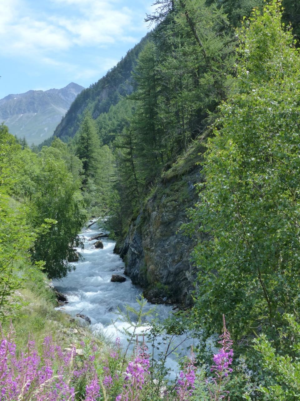 Off site, Natural landscape, Summer, Hiking