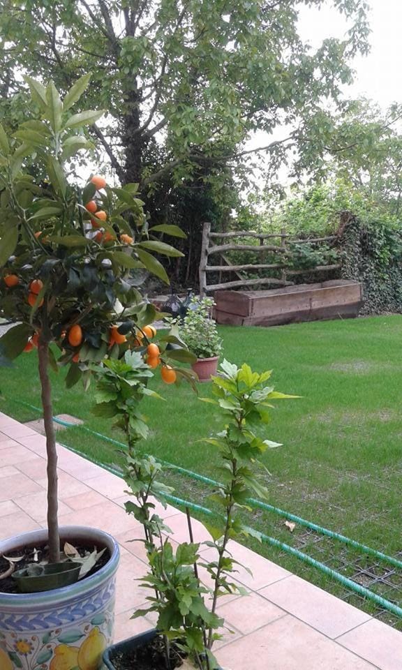 Myricae Bed and Breakfast in Liguria