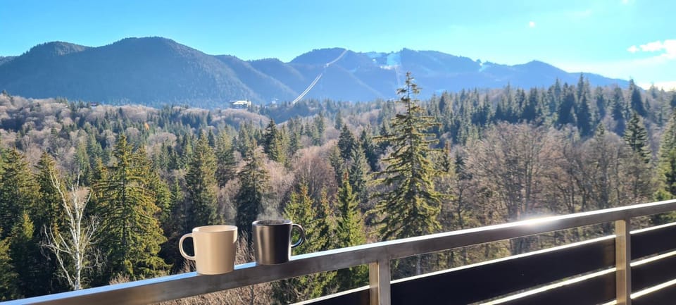 Natural landscape, Balcony/Terrace, Mountain view