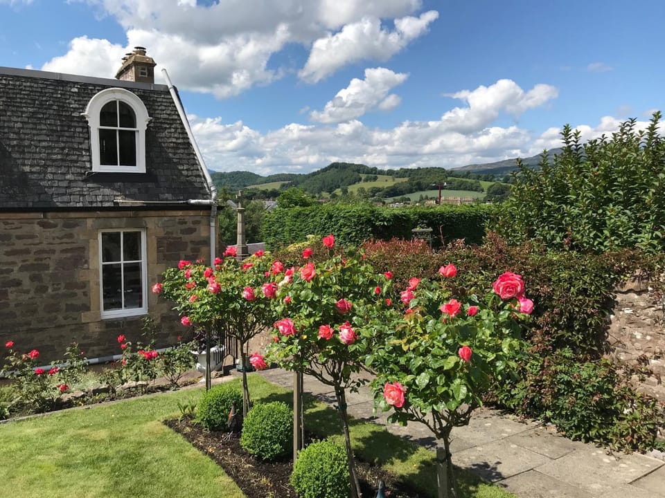 Property building, Garden view