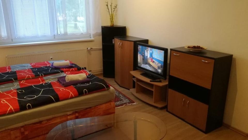 Flat for 2 people, WiFi Apartment in Czechia