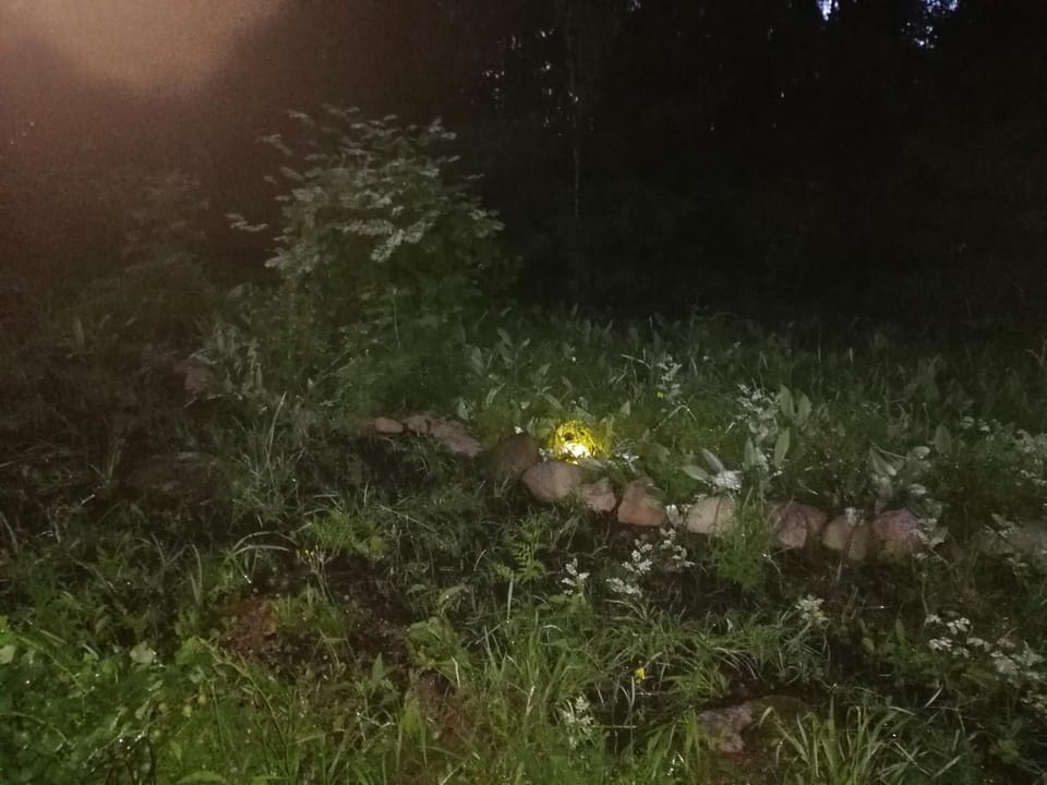 Night, Natural landscape, Garden, Garden view