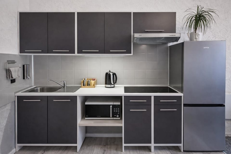 Coffee/tea facilities, Kitchen or kitchenette, oven, stove