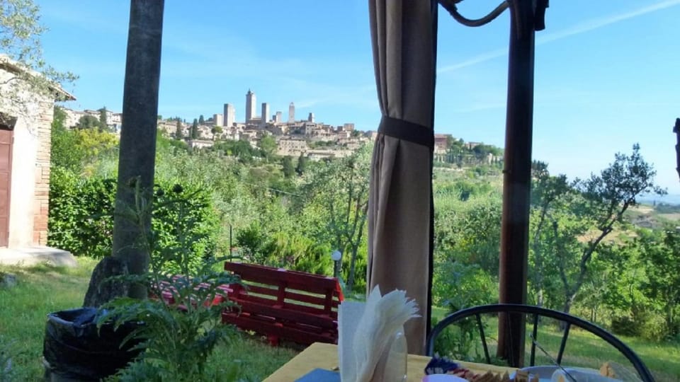 Garden, City view