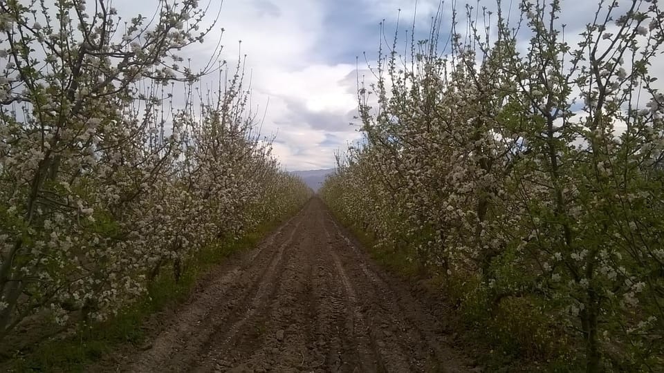 Natural landscape
