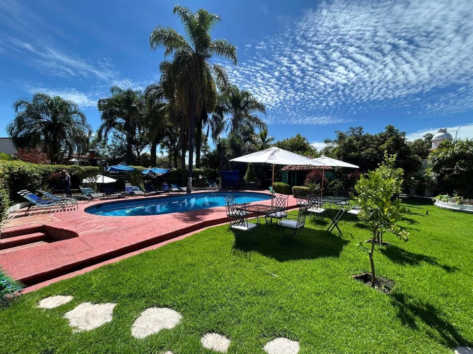 Garden, Garden view, Pool view, Swimming pool