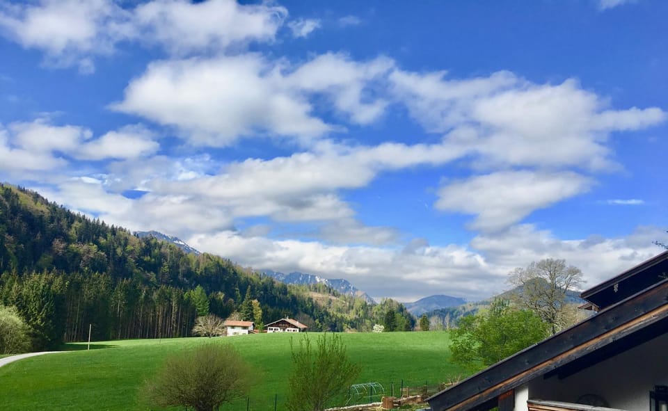 Natural landscape, View (from property/room)