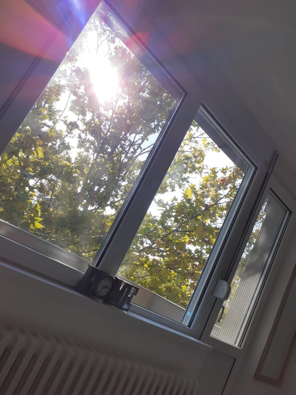 Apartman 4L Apartment in Serbia