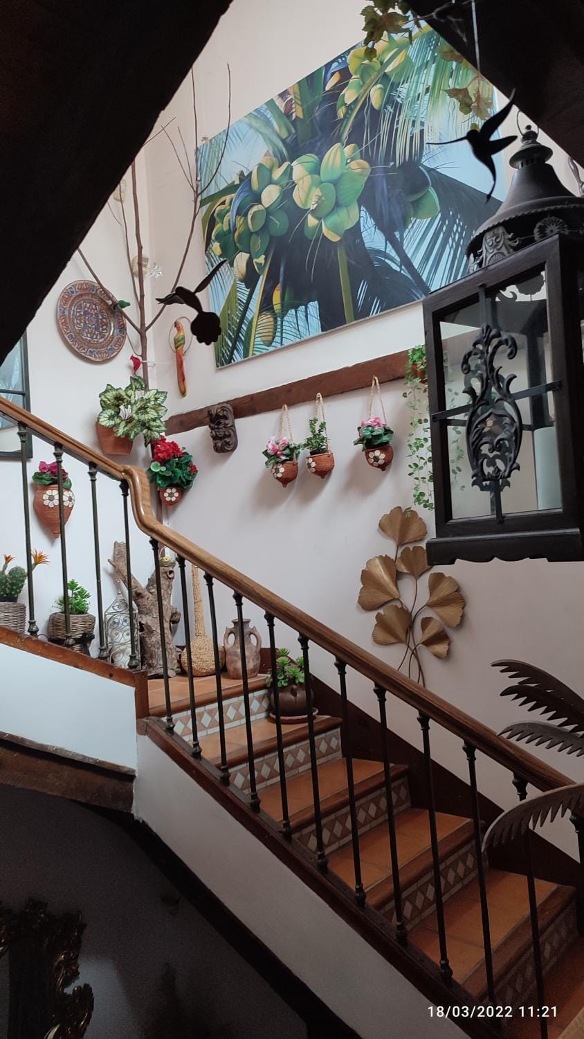 Pensión Alfin Bed and Breakfast in Granada