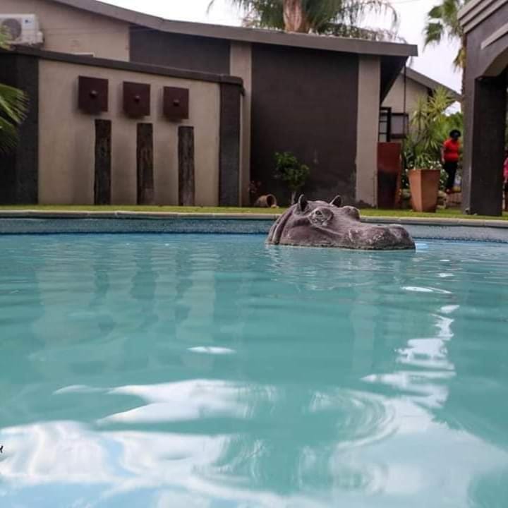 AFRICAN DREAMS GUESTHOUSE Bed and Breakfast in Khomas Region, Namibia