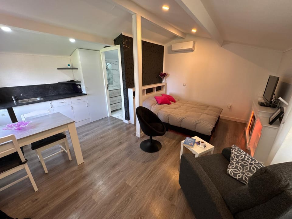 TV and multimedia, Kitchen or kitchenette, Living room, Seating area, Dining area
