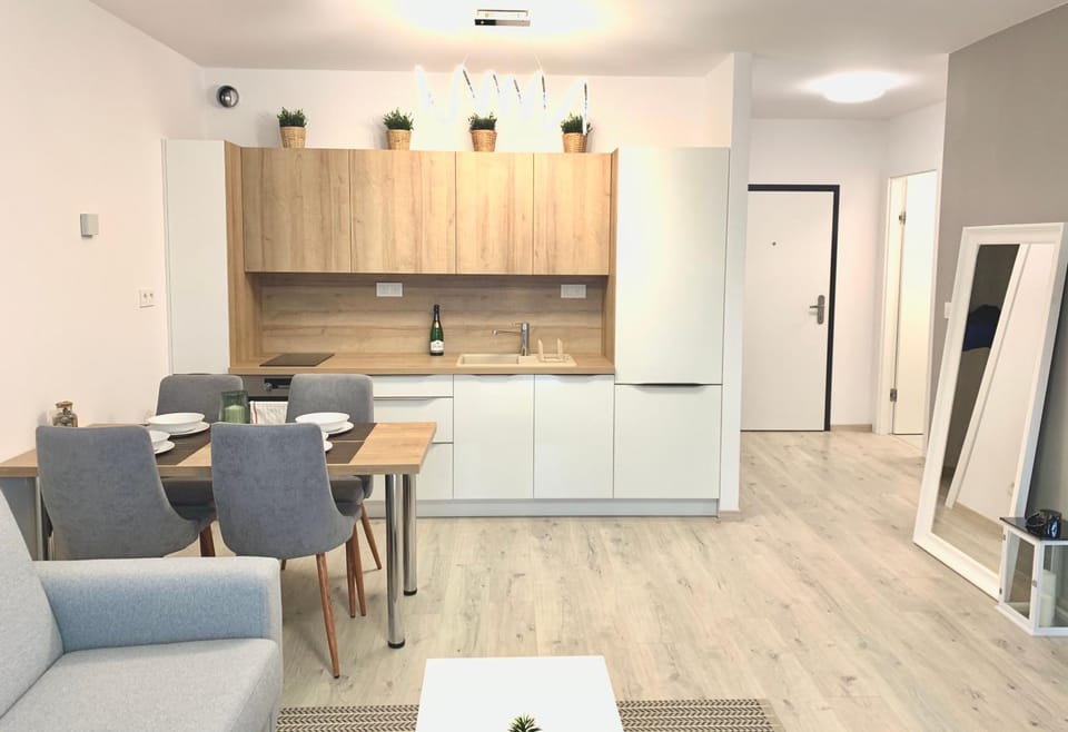 Elegant, bright spacious apartment in Bratislava center Apartment in Bratislava