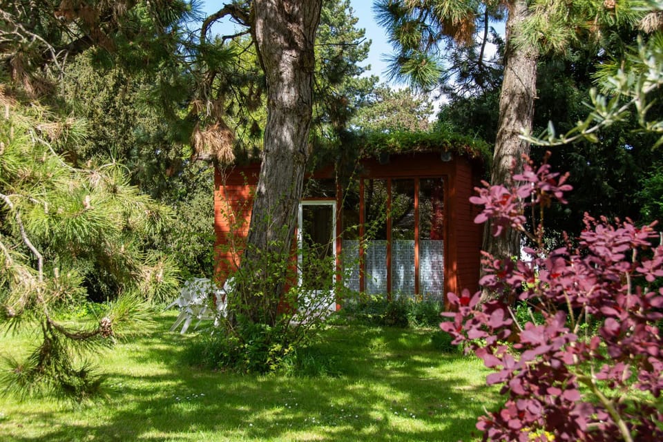 Spring, Day, Natural landscape, Garden, Garden view