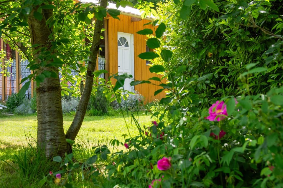 Spring, Day, Natural landscape, Garden, Garden view