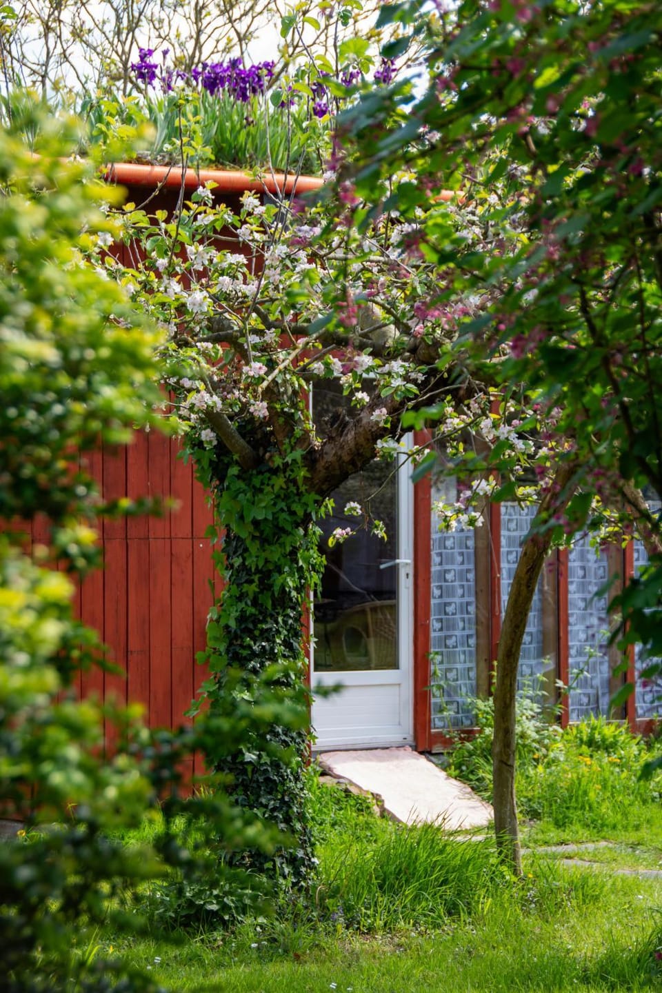 Spring, Day, Natural landscape, Garden, Garden view