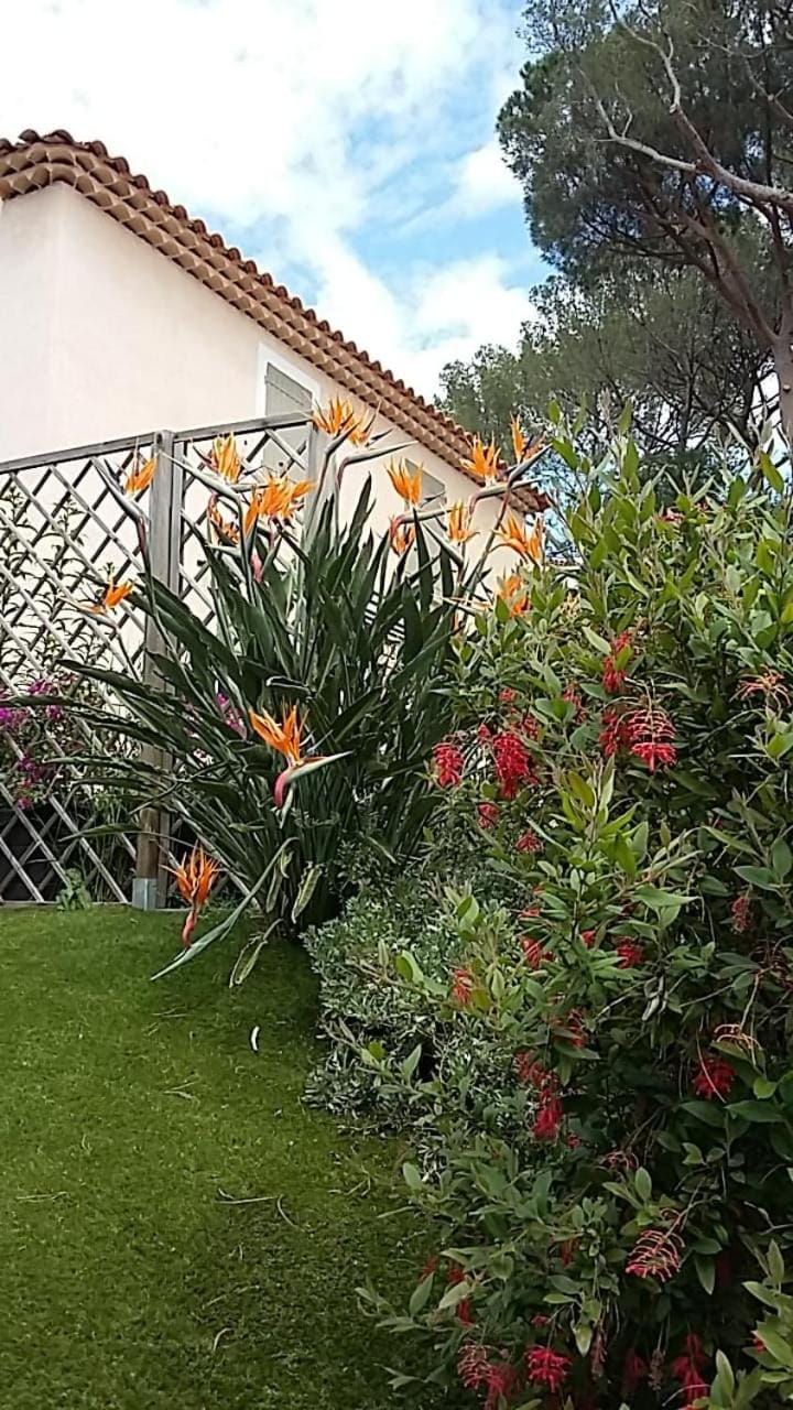 Les Bastides du Haut Para House in Bormes-les-Mimosas