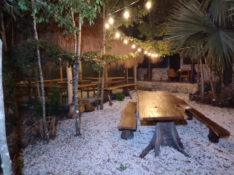 Patio, Garden, Dining area, Garden view