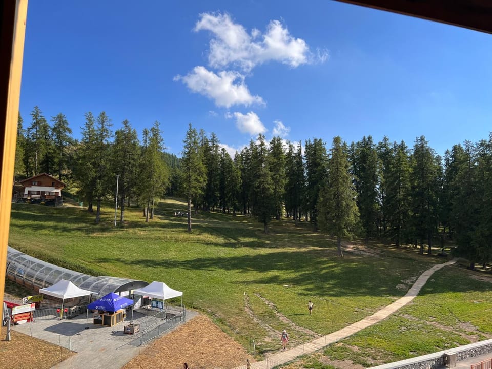 Natural landscape, Garden view