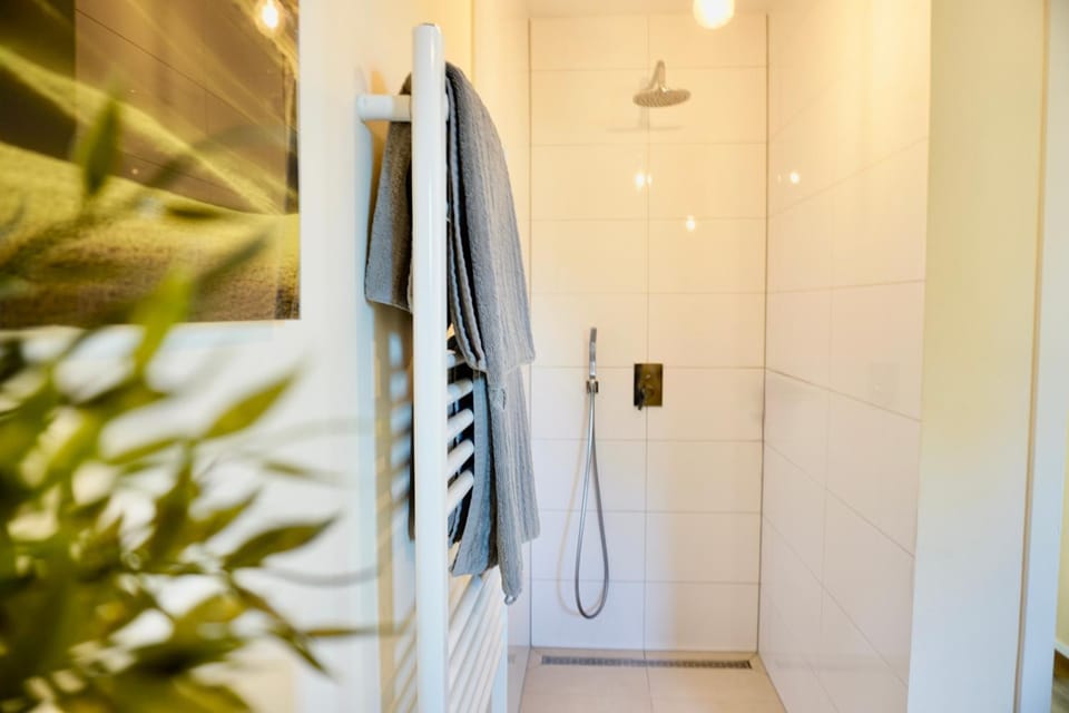Shower, Bathroom, towels