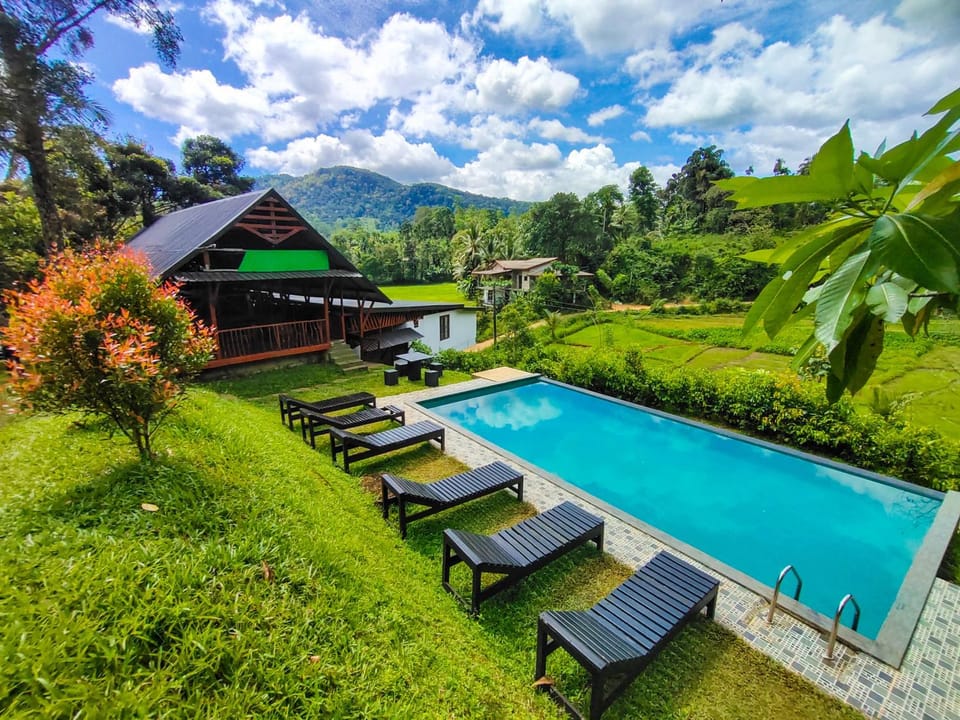 Pool view, Swimming pool