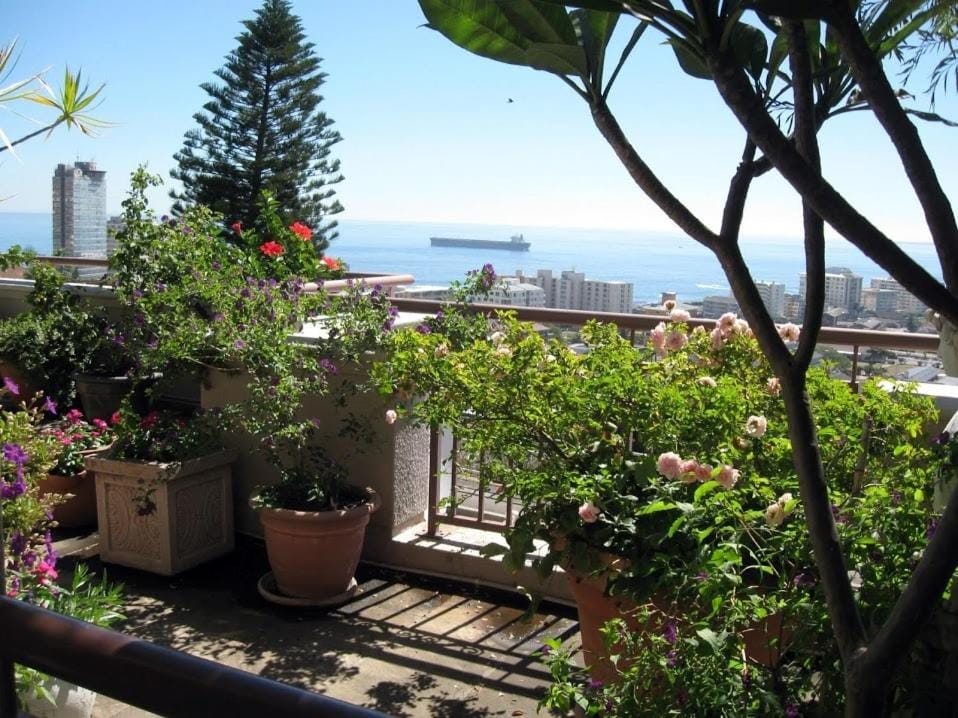 Day, Balcony/Terrace