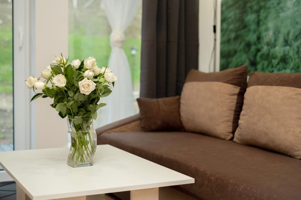 Apartamenty GoszoWita Apartment in Lower Silesian Voivodeship