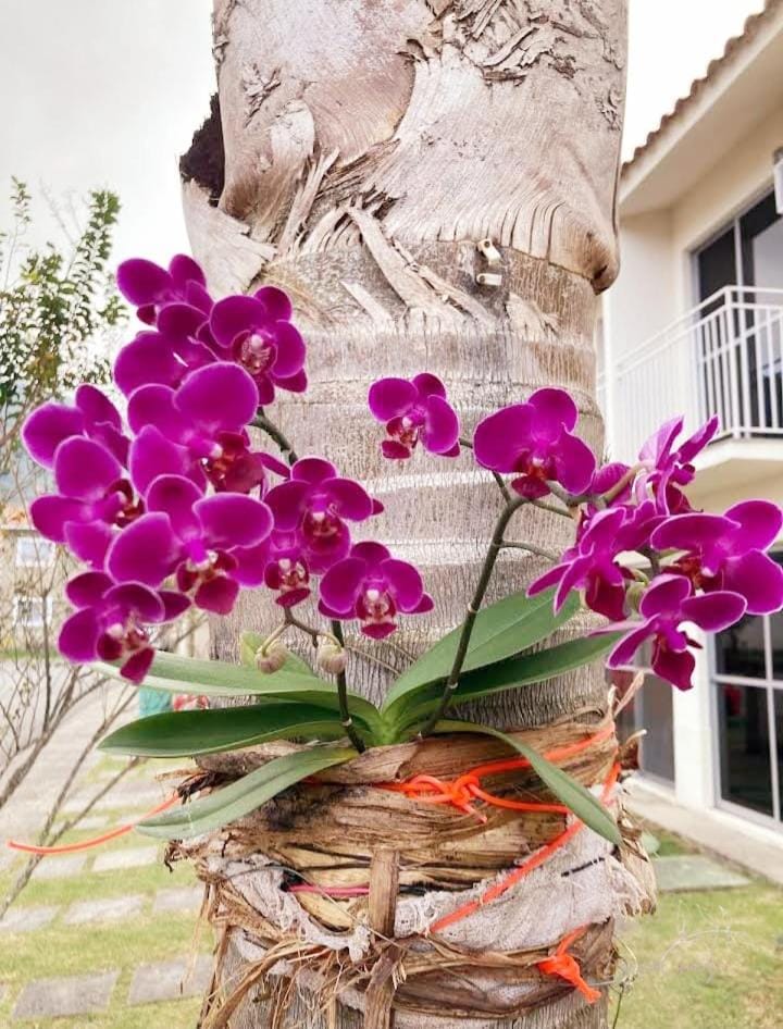 Meu Aconchego Apartment in Mangaratiba