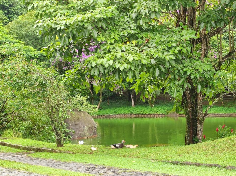 Refúgio da família - serra & lago House in State of Rio de Janeiro