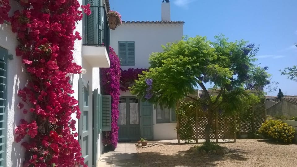 Property building, Garden view