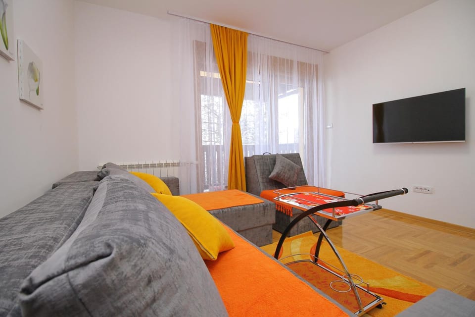 Apartment Jony Lux Center Apartment in Zlatibor