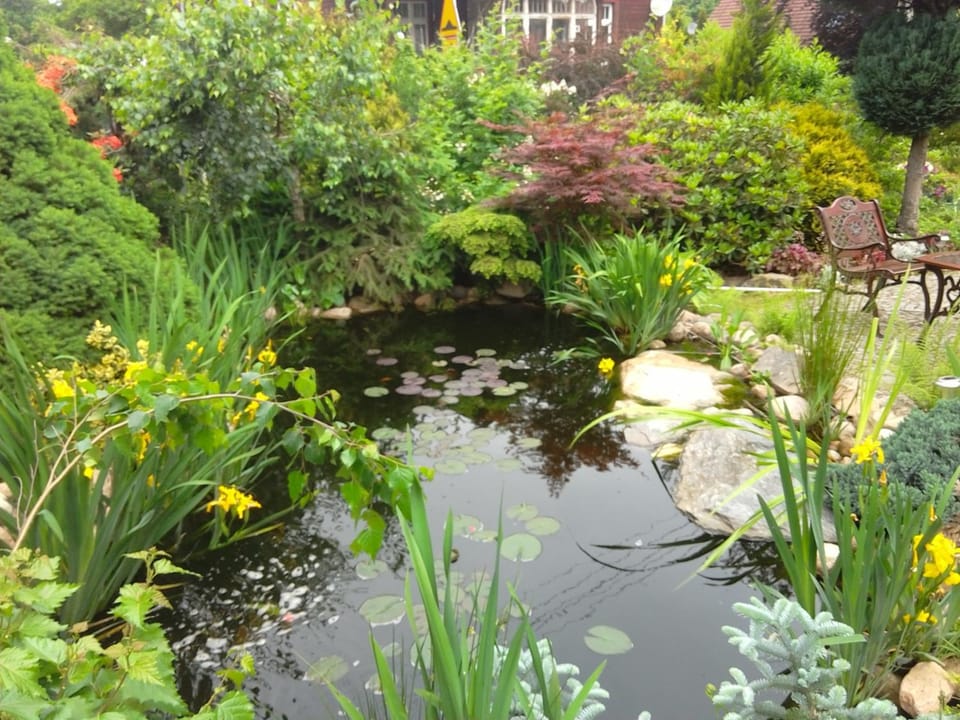 Garden, Area and facilities