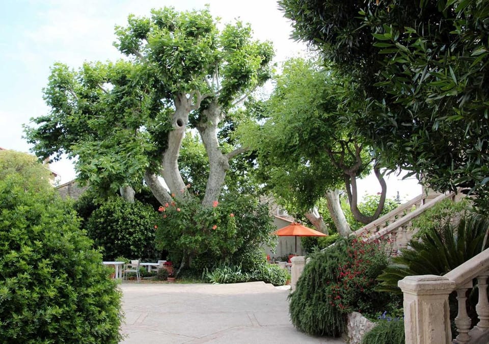Facade/entrance, Garden