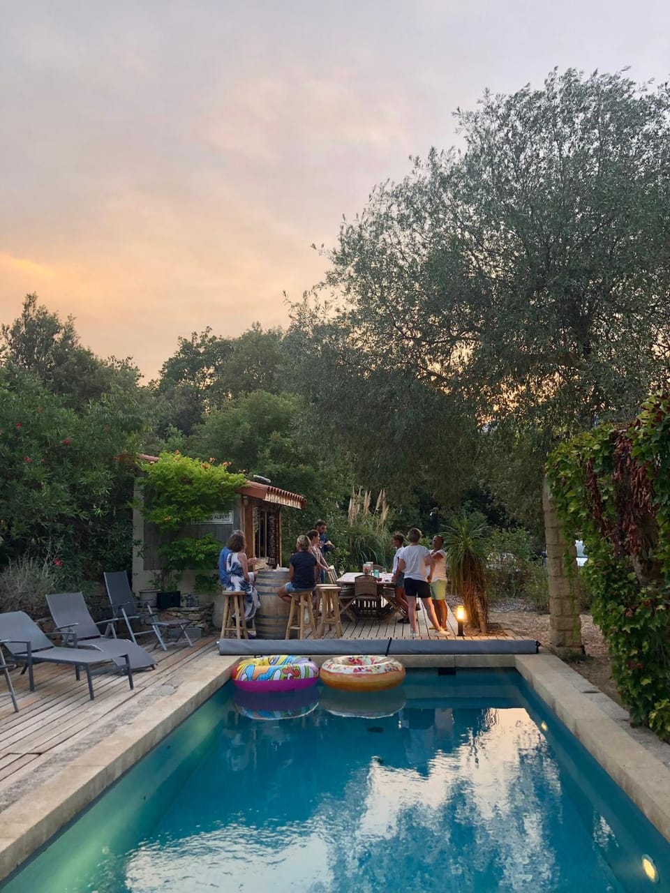 Garden, Swimming pool