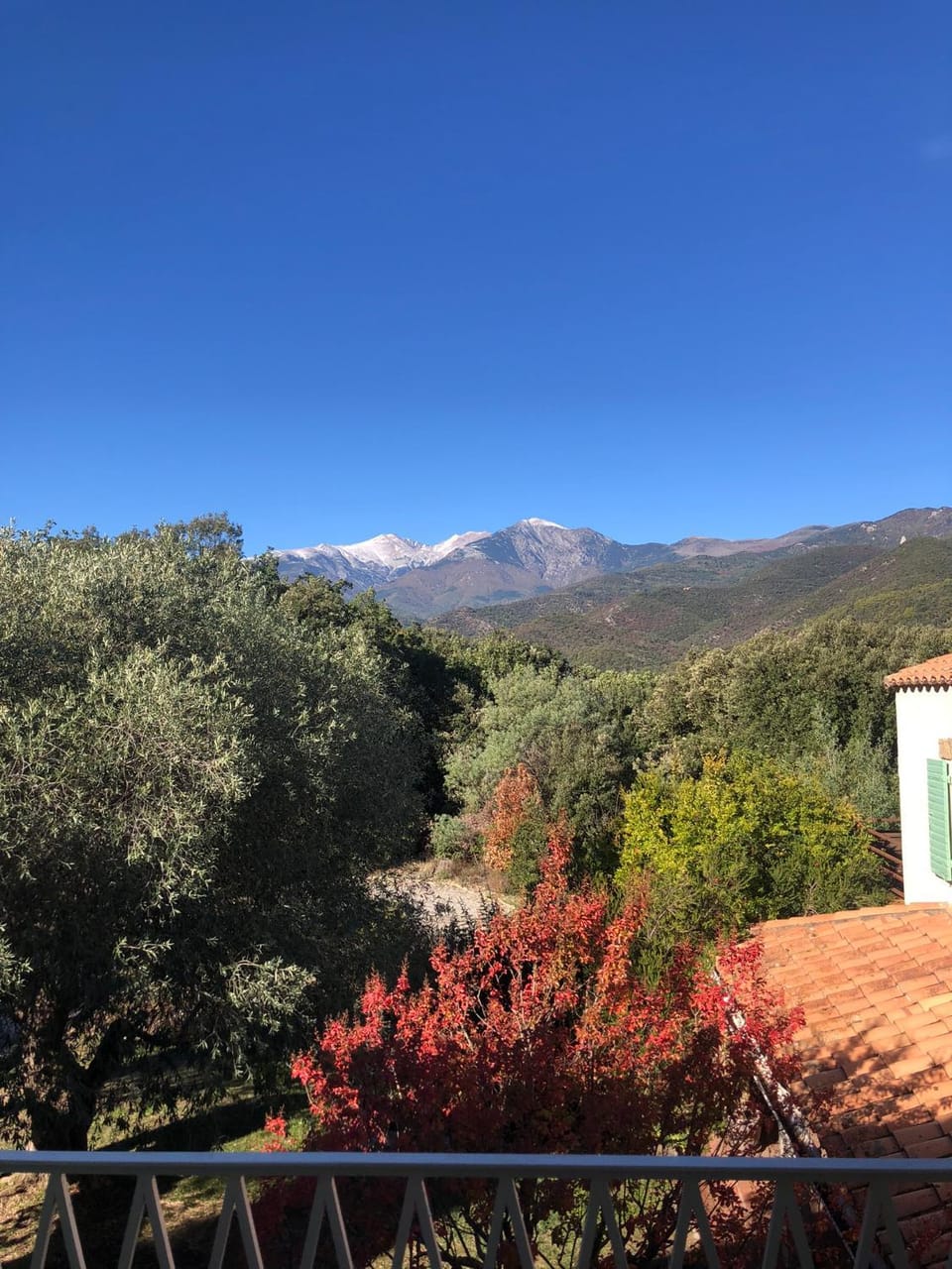View (from property/room)