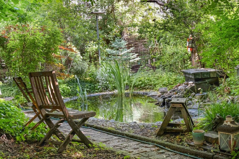 Spring, Day, Natural landscape, Garden, Garden view, Inner courtyard view