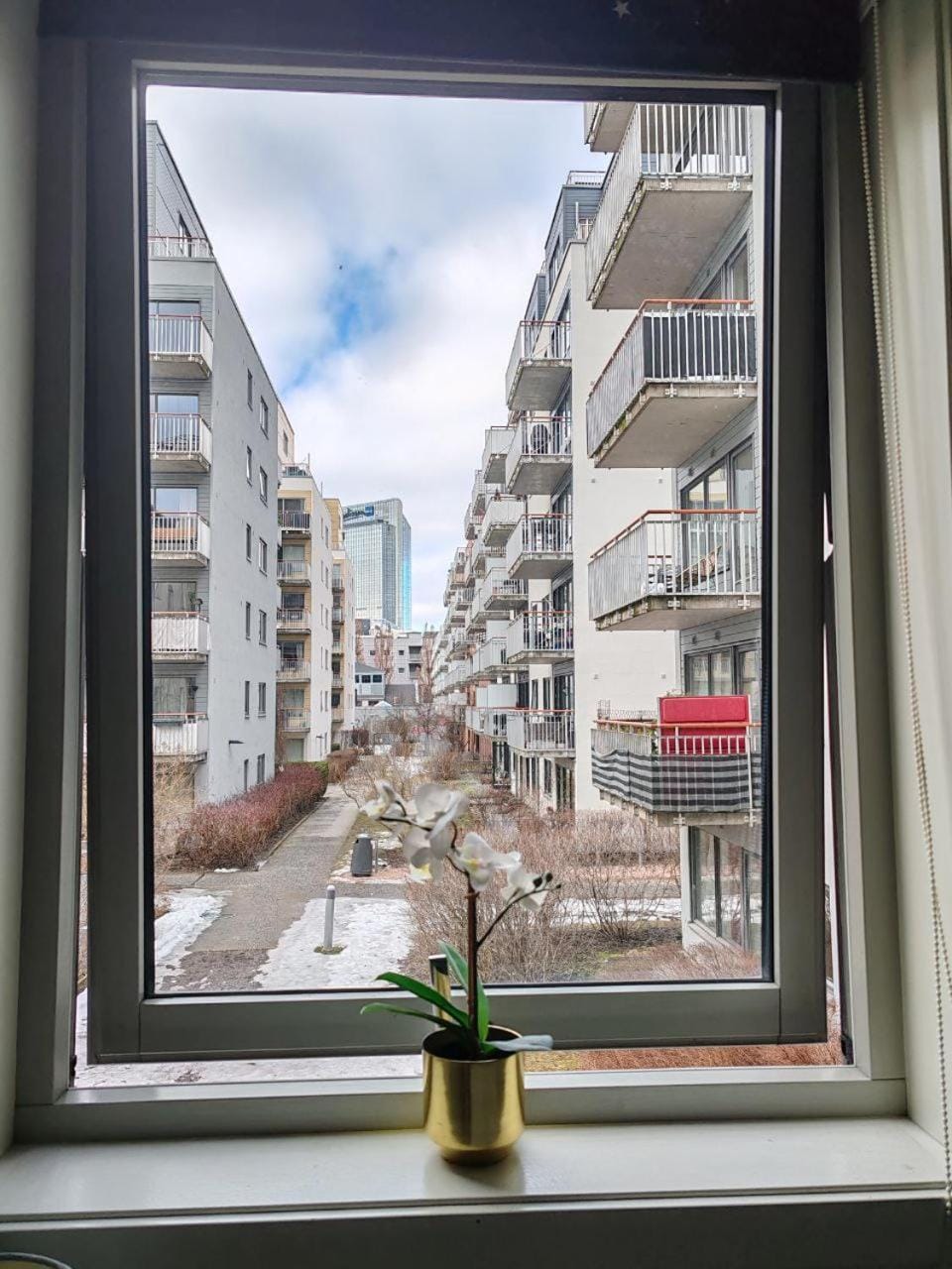 Neighbourhood, View (from property/room), Street view, Inner courtyard view