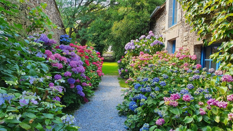 Garden view, Inner courtyard view