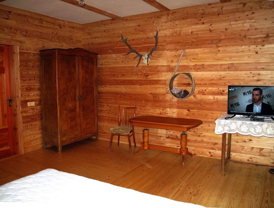 Полонянка Apartment in Lviv Oblast