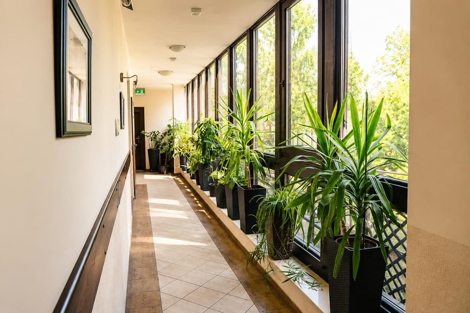 Stara Szkoła Boutique Hotel Boutique hotel in Greater Poland Voivodeship