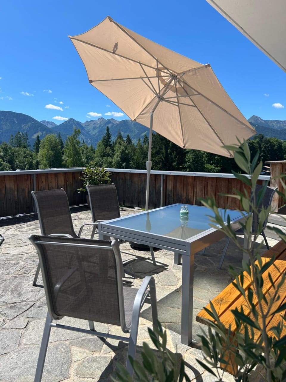Haus Harmony Apartments House in Schladming