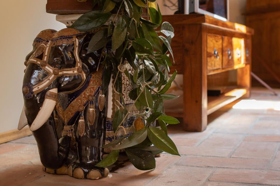 TV and multimedia, Living room, Decorative detail