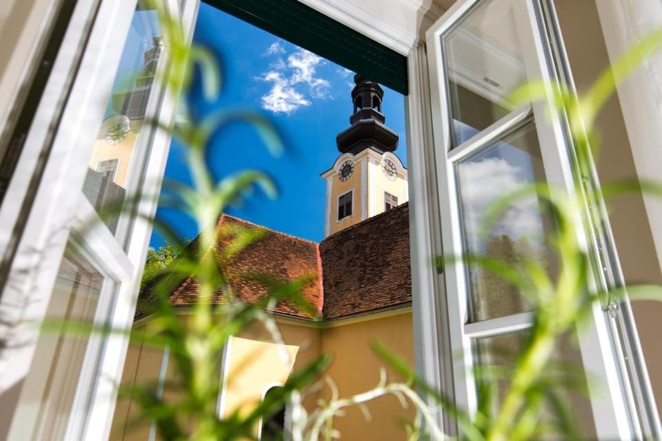 Spring, Garden, Garden view