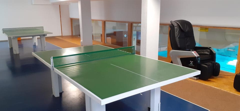 Table tennis, Table tennis