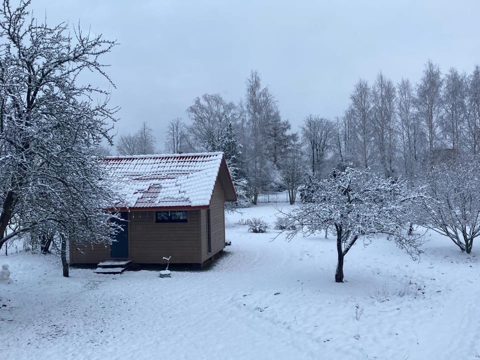 Winter