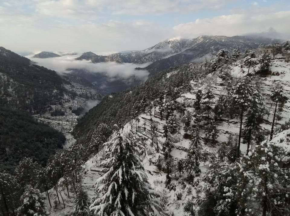 Natural landscape